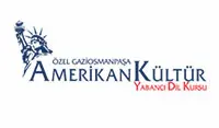 Amerikan kultur